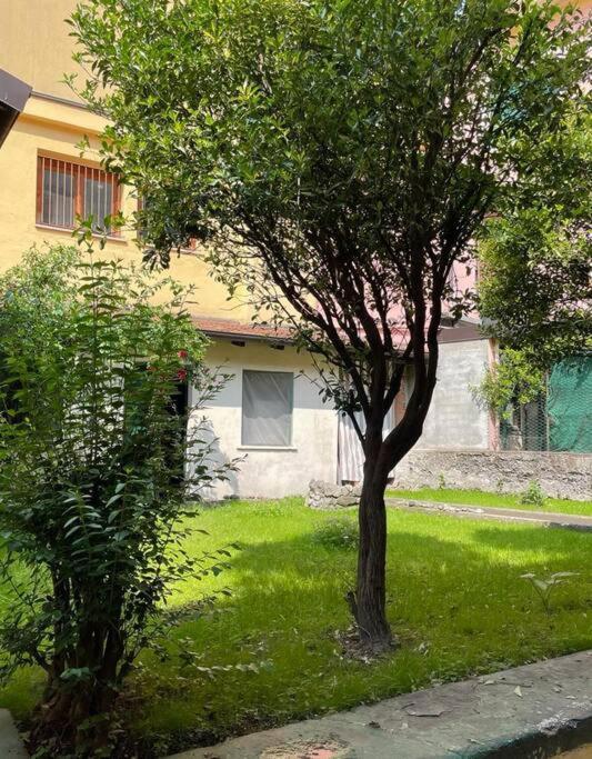 Il Giardino Nascosto Omegna Exterior foto